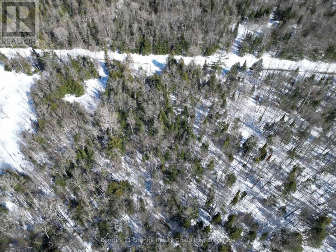 0 INDIAN POINT ROAD, Dysart et al (Dudley)