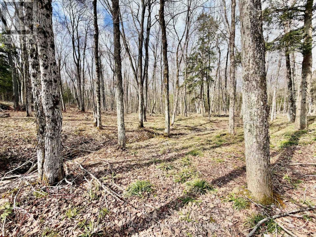 2388 DOE LAKE ROAD, Gravenhurst (Ryde)