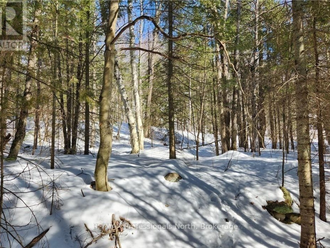 0 POVERTY BAY TRAIL, Soyers Lake