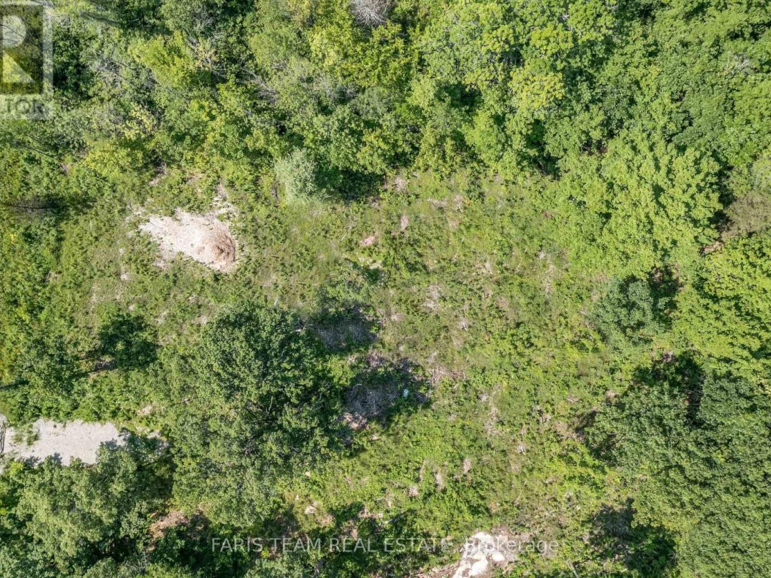 88 MUSKY BAY ROAD, Georgian Bay (Baxter)