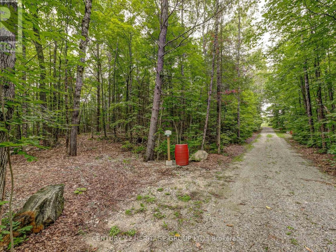 4411 UPPER BIG CHUTE ROAD, 