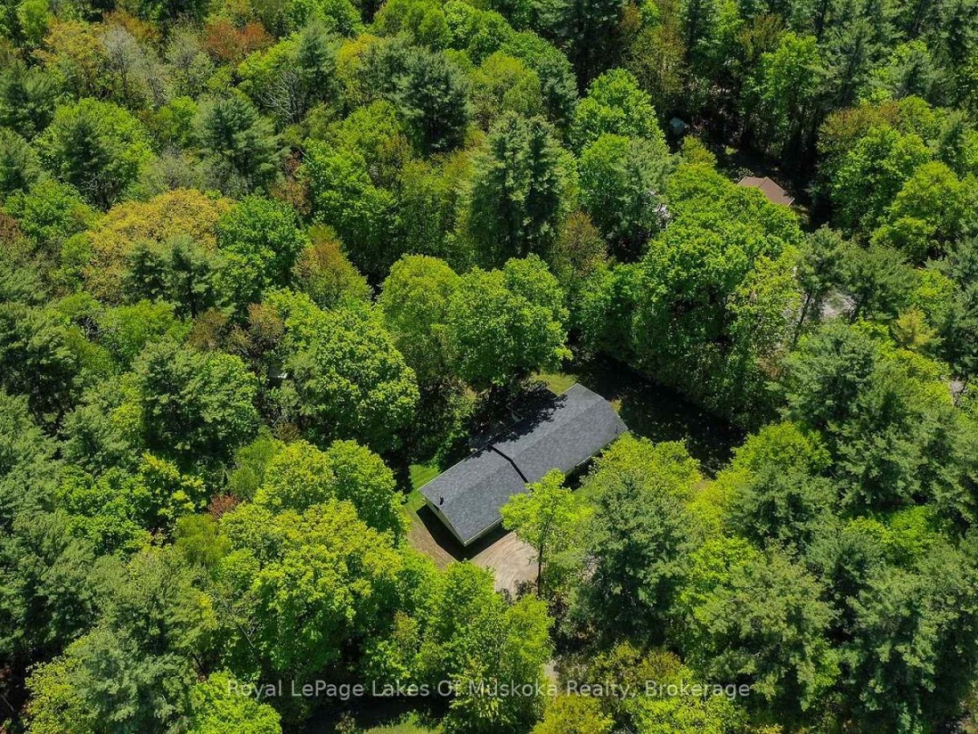 873 MUSKOKA 3 ROAD N, Huntsville (Chaffey)