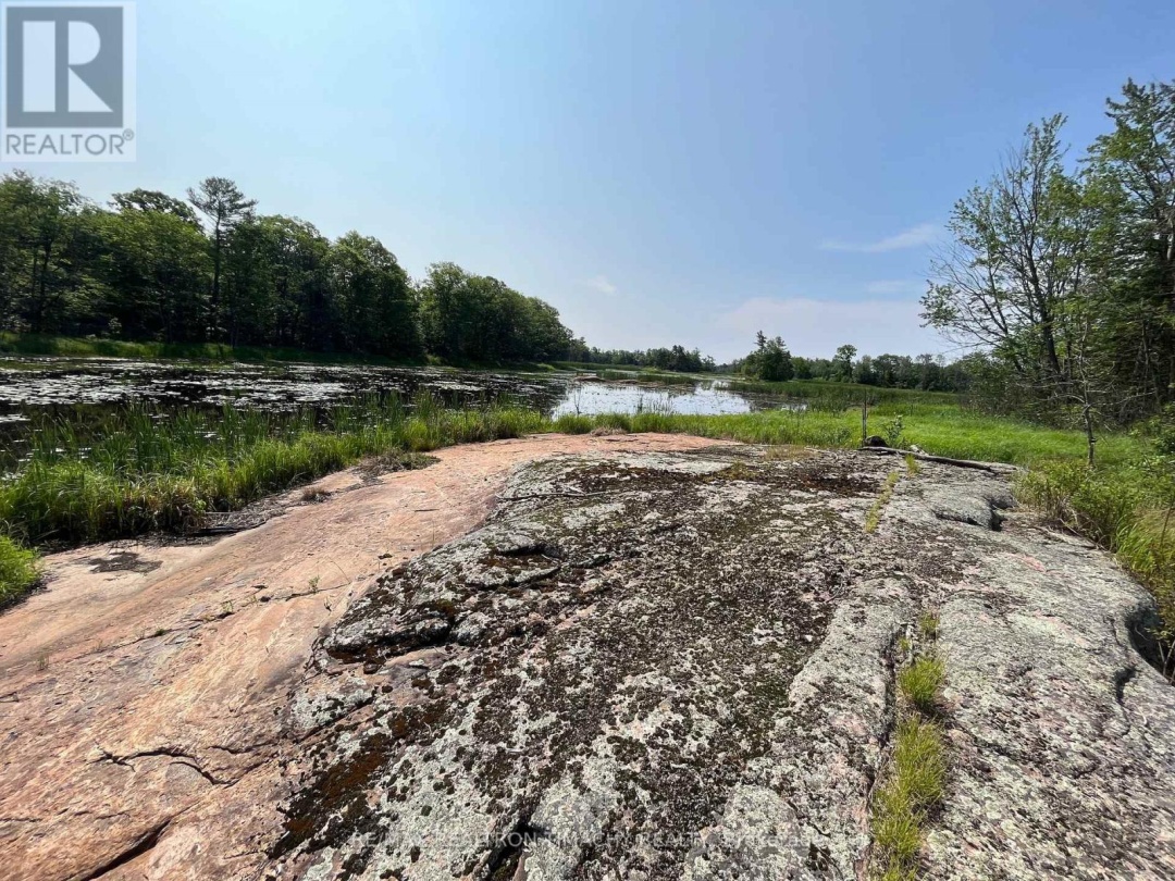 243 PRISQUE ROAD, Georgian Bay