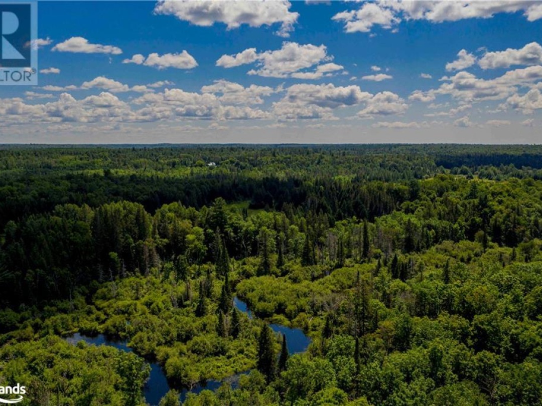 Lot 8 Nelson Lake Road, Magnetawan