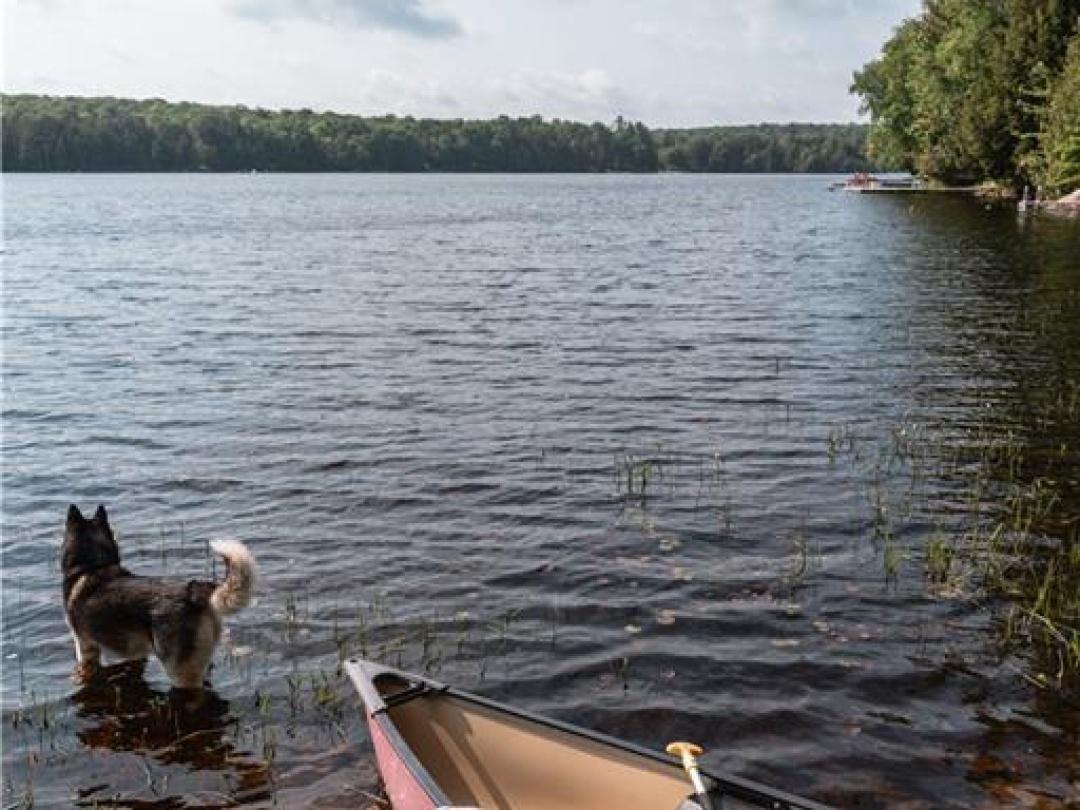 201 MENOMINEE LAKE Road N, Menominee Lake