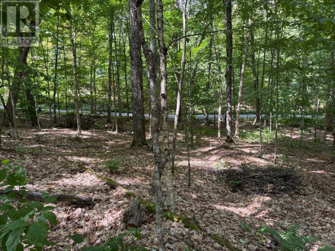 LOT 85 BRENNAN CIRCLE, Lake Vernon