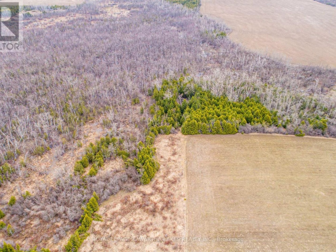 210 GRASSHILL ROAD, Kawartha Lakes (Woodville)