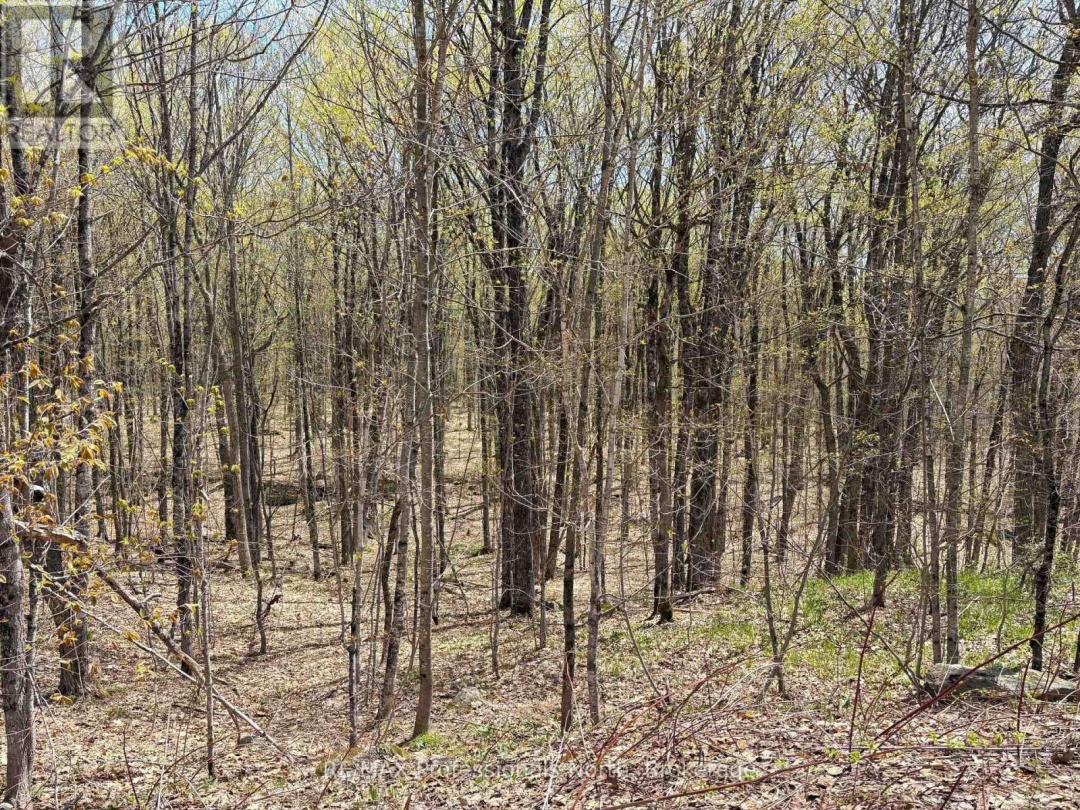 2346 KUSHOG LAKE ROAD, Algonquin Highlands (Stanhope)
