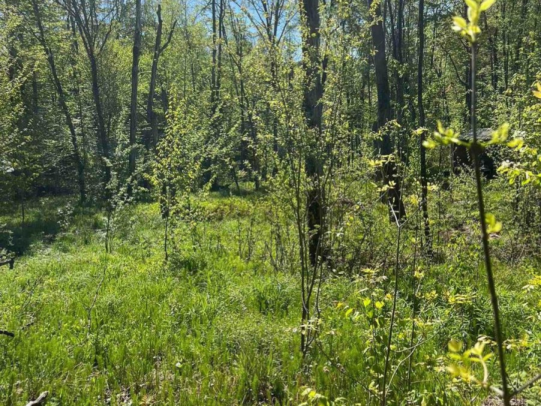 0 TRAPPER'S TRAIL ROAD, 