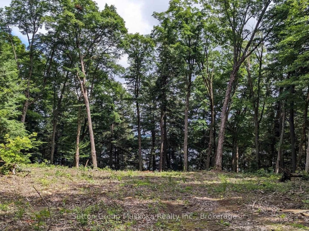 LOT 1 ESIG LANE, Rebecca Lake