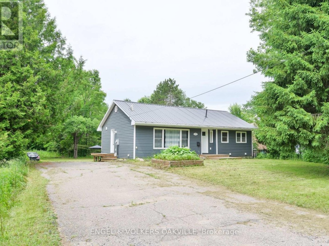 253 MAPLE STREET, Bracebridge (Macaulay)