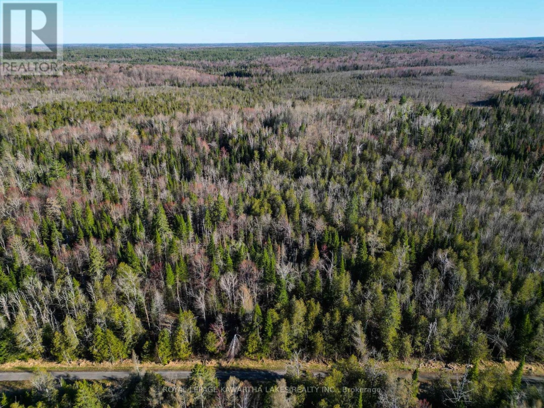 LT 4 DUTCH LINE ROAD W, Trent Lakes