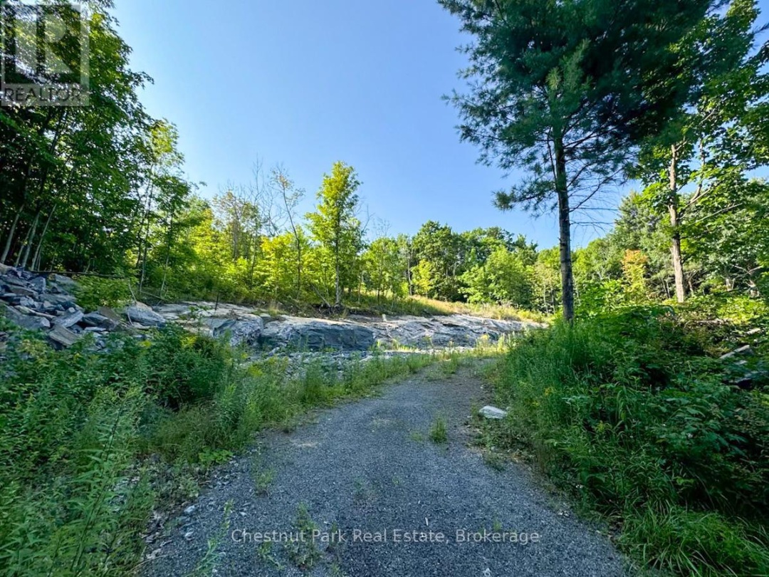 1681 MUSKOKA BEACH ROAD, 