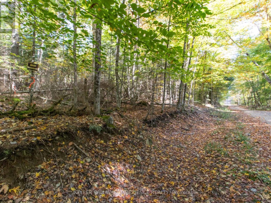 0 LYNX LAKE ROAD, Huntsville (Brunel)