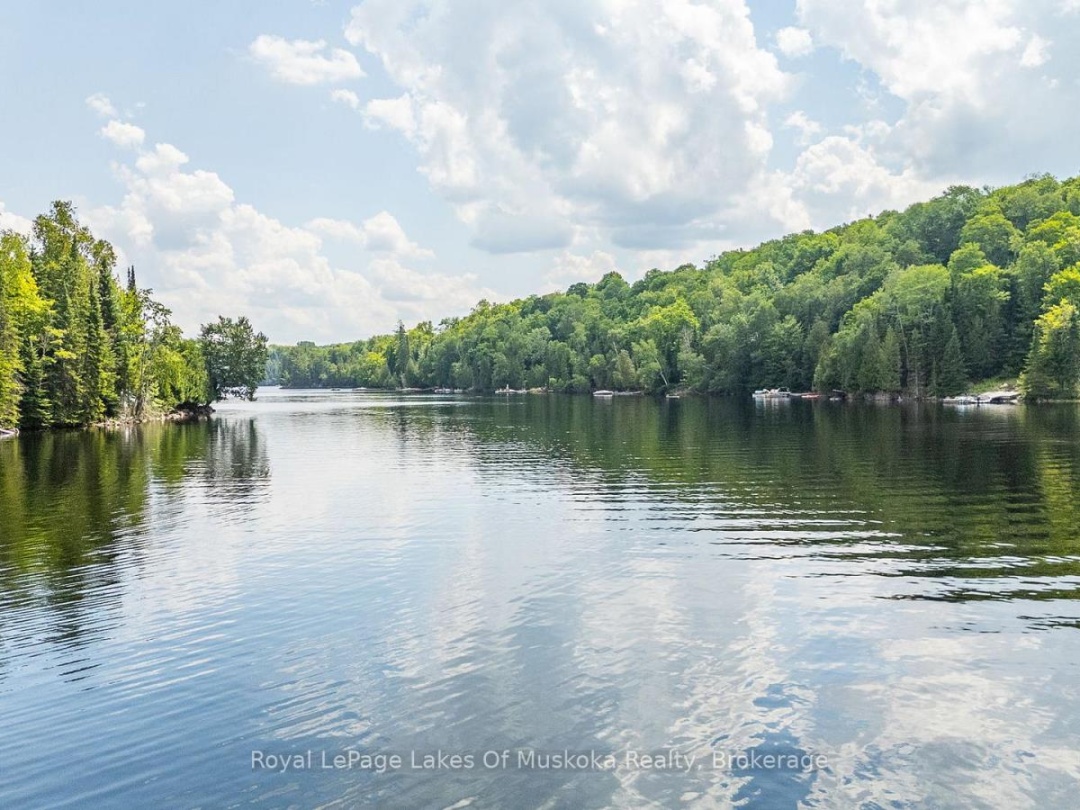 1236 GRACE ROAD, 