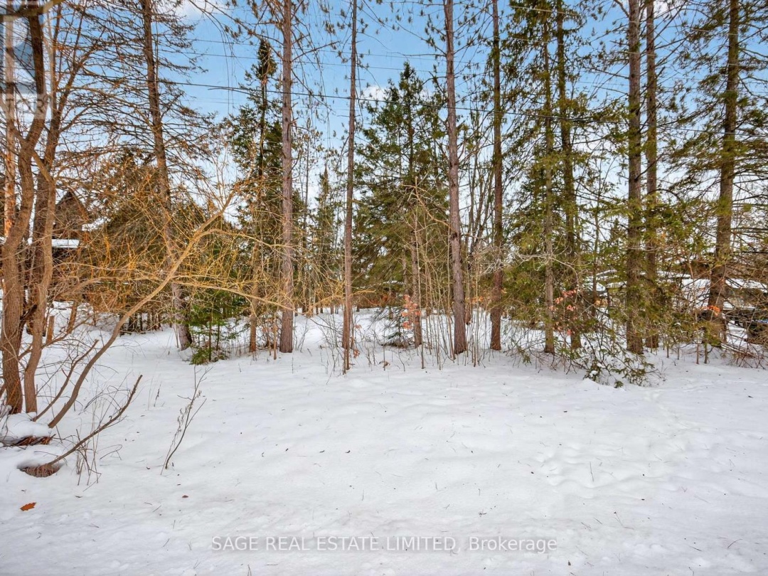 7856 BIRCH DRIVE, Black River