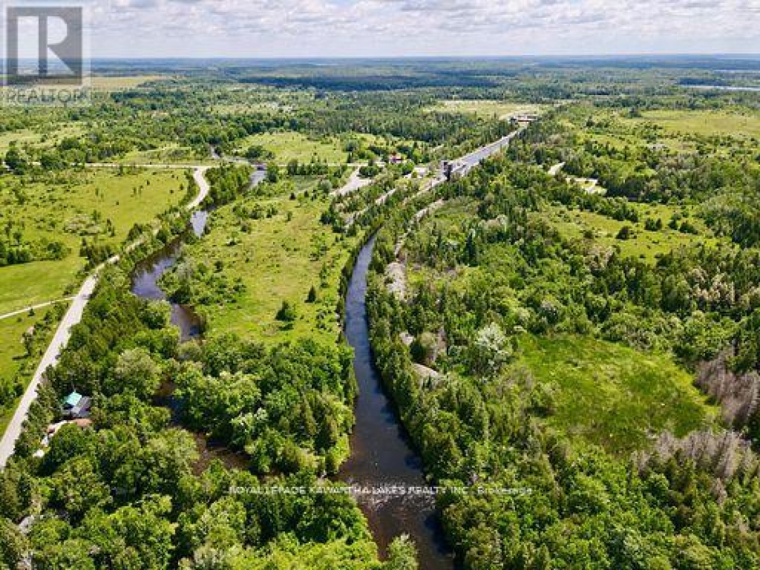 81 MCGUIRE BEACH ROAD, Trent-Severn Waterway