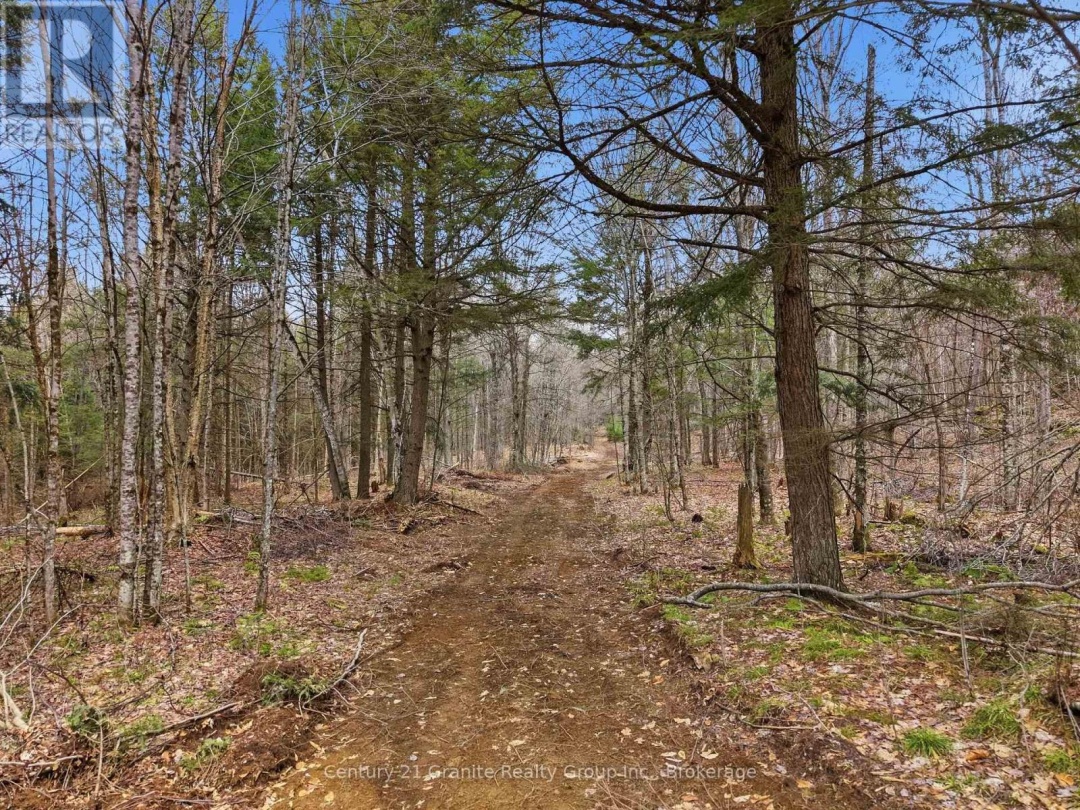 1314 HUNTER CREEK ROAD, Minden Hills (Lutterworth)