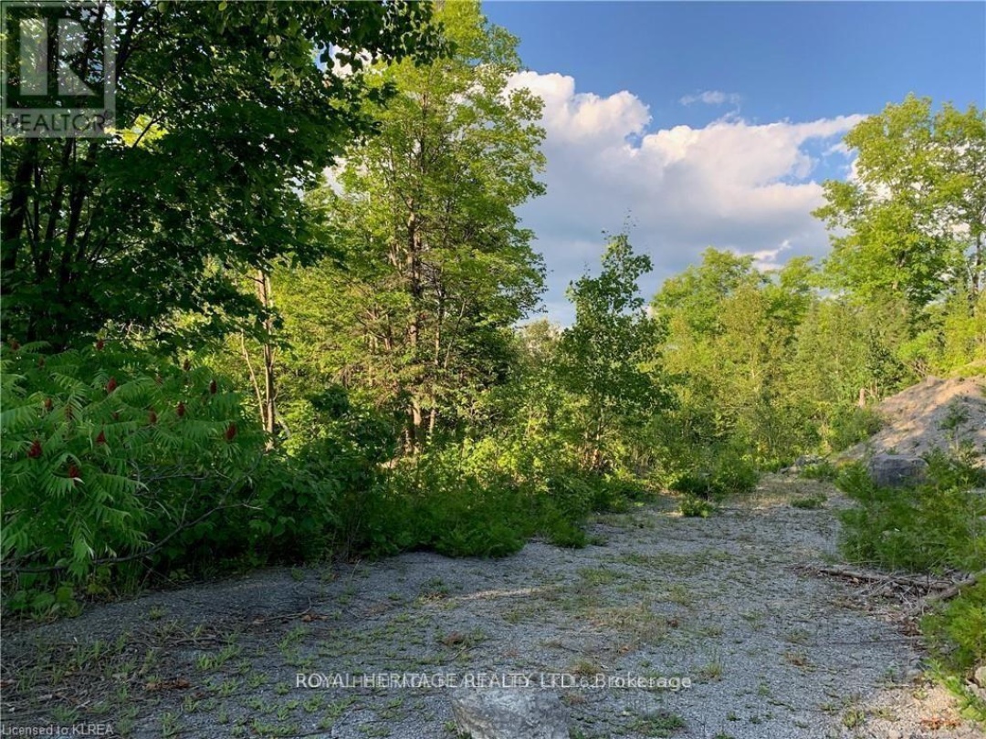 0 PT LT 32 COUNTY ROAD 49 ROAD, Trent Lakes