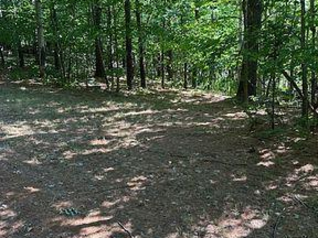 2875 COUNTY ROAD 21 ROAD, Minden Hills (Minden)