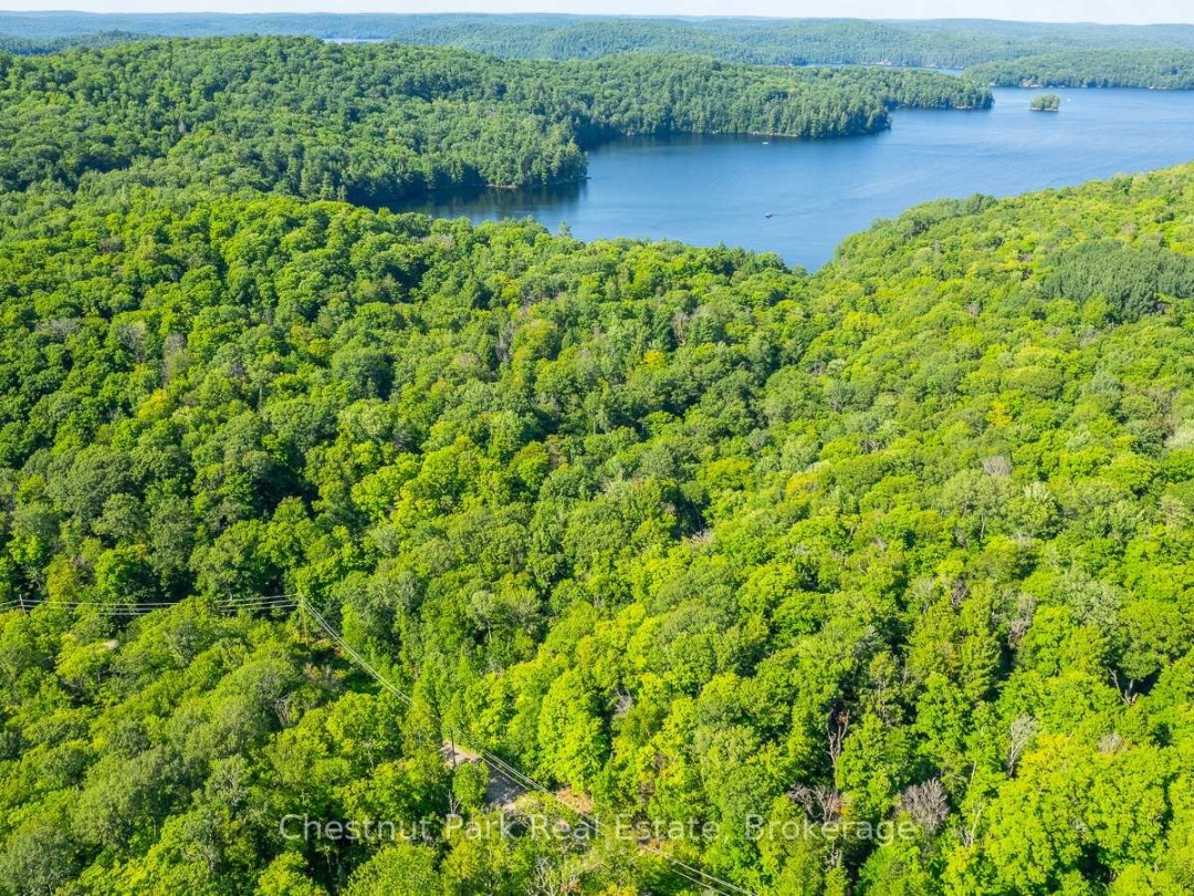 0 COLEMAN LAKE ROAD, Dysart et al (Guilford)