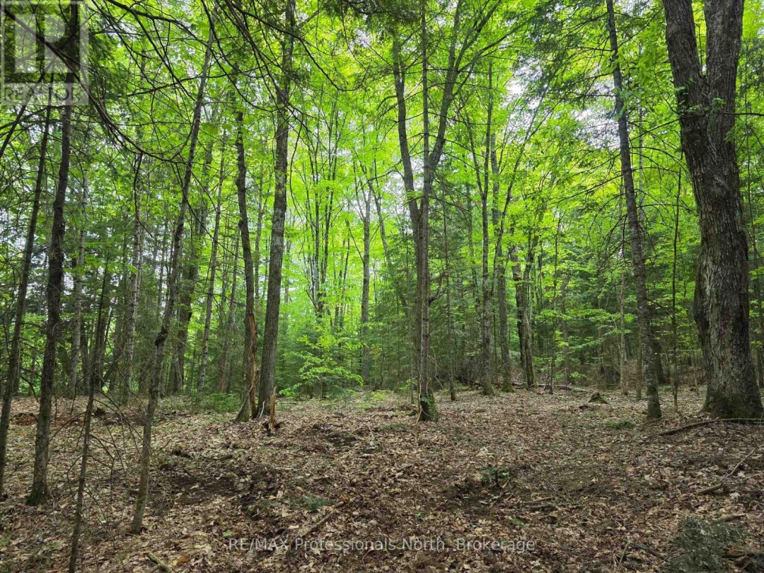 1163 25TH LINE ROAD, Algonquin Highlands (Stanhope)