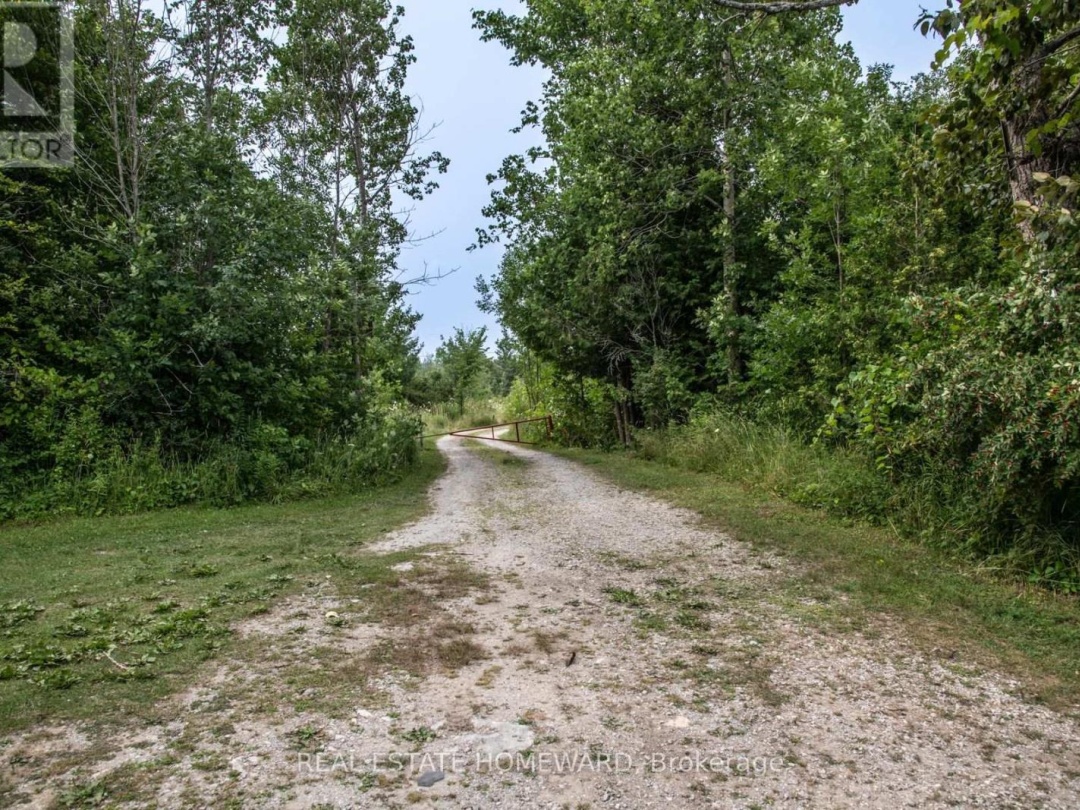 LOT 254 MCGUIRE BEACH ROAD, Canal Lake