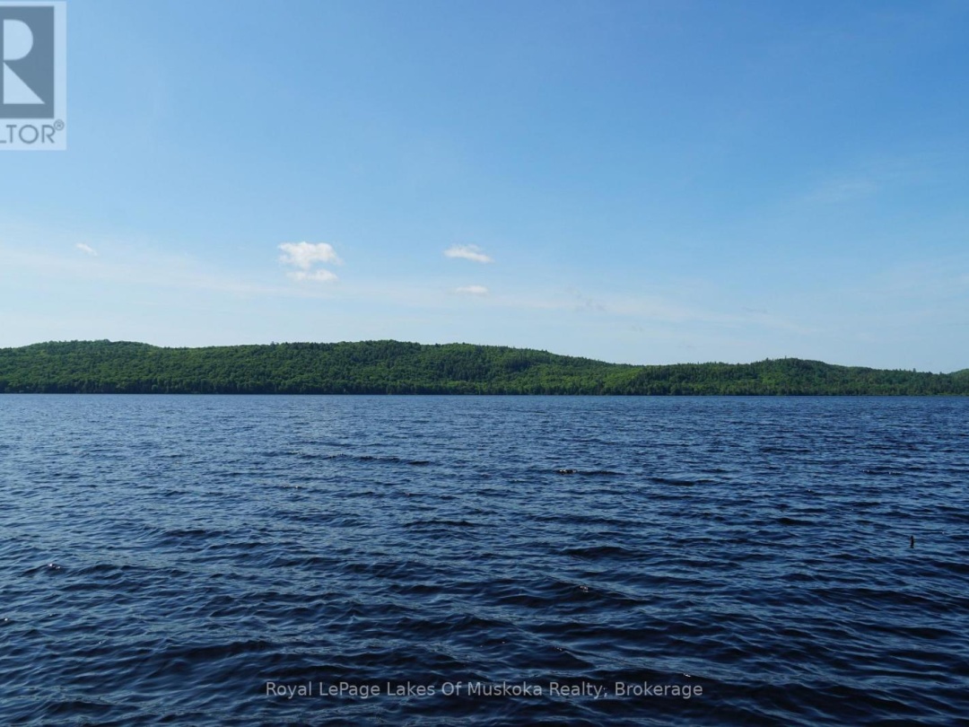 1173 HIGHWAY 60, Lake of Two Rivers