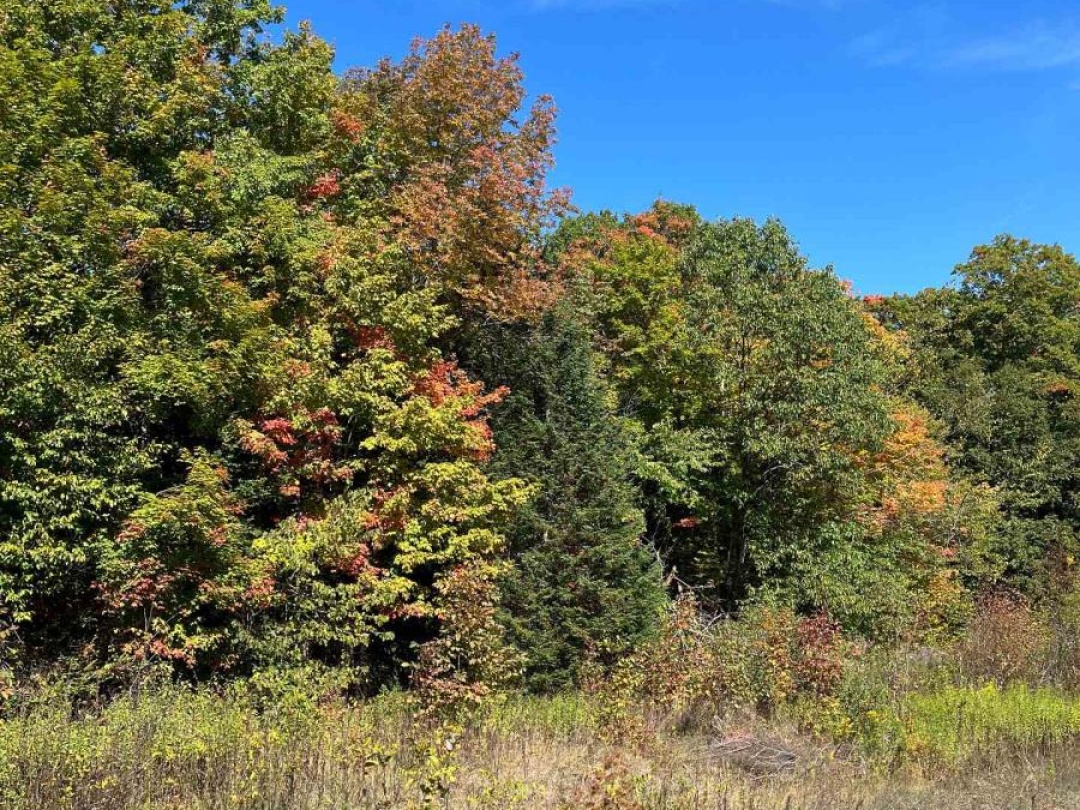 1645 SOUTH LAKE ROAD, Minden Hills (Snowdon)