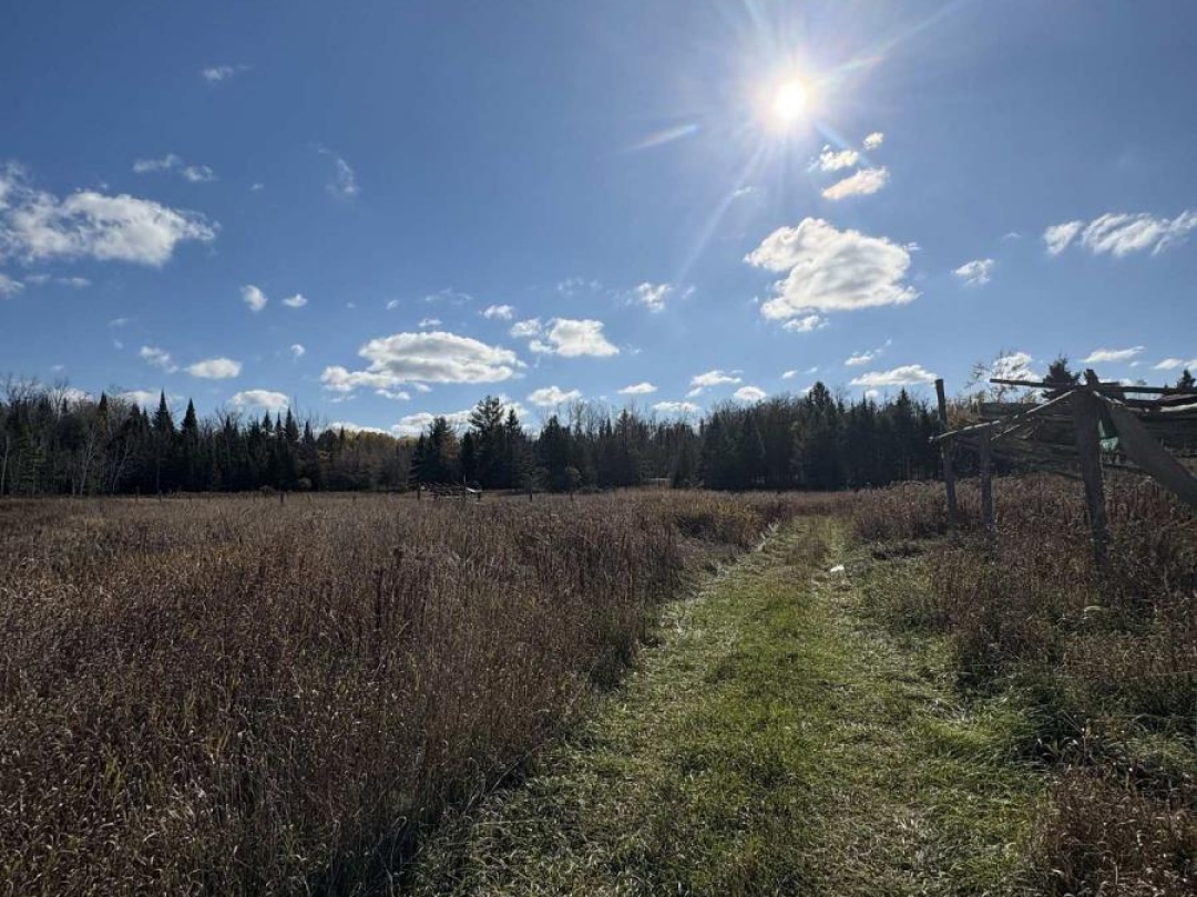 3783 MONCK ROAD, Kawartha Lakes (Somerville)
