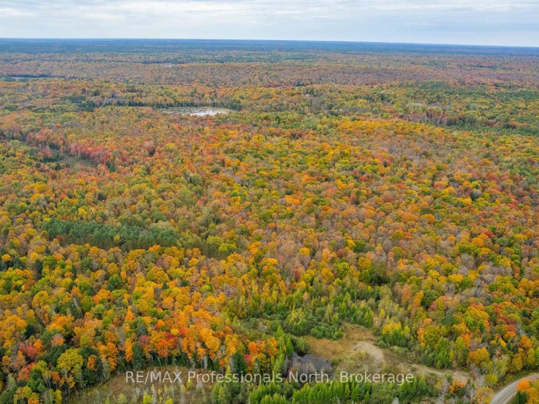 1600 BOBCAYGEON ROAD, Minden Hills (Minden)