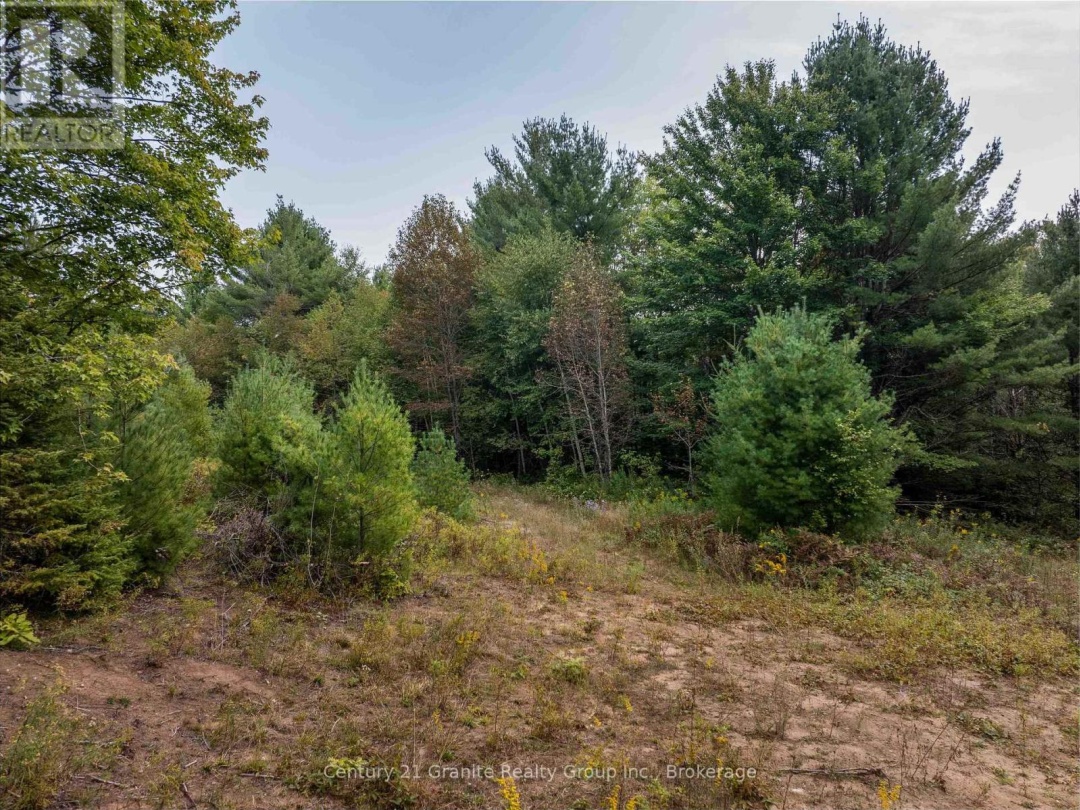 4729 COUNTY ROAD 121, Minden Hills (Lutterworth)