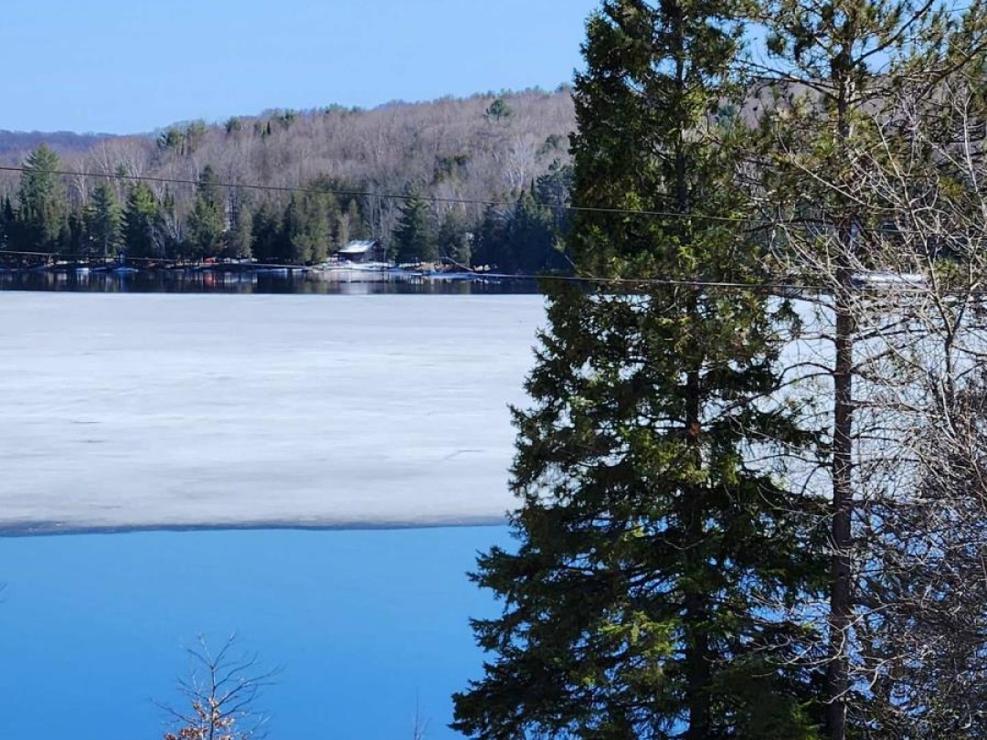 1093 REYNOLDS ROAD, Horseshoe Lake