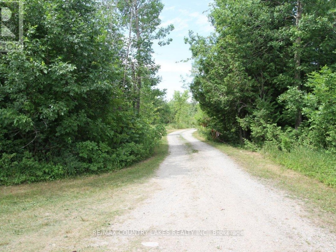 264 MCGUIRE BEACH ROAD, Canal Lake