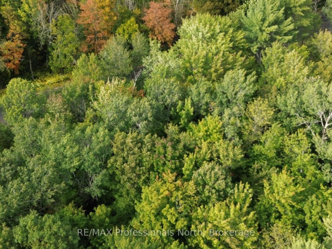 671 LYNX LAKE ROAD, 