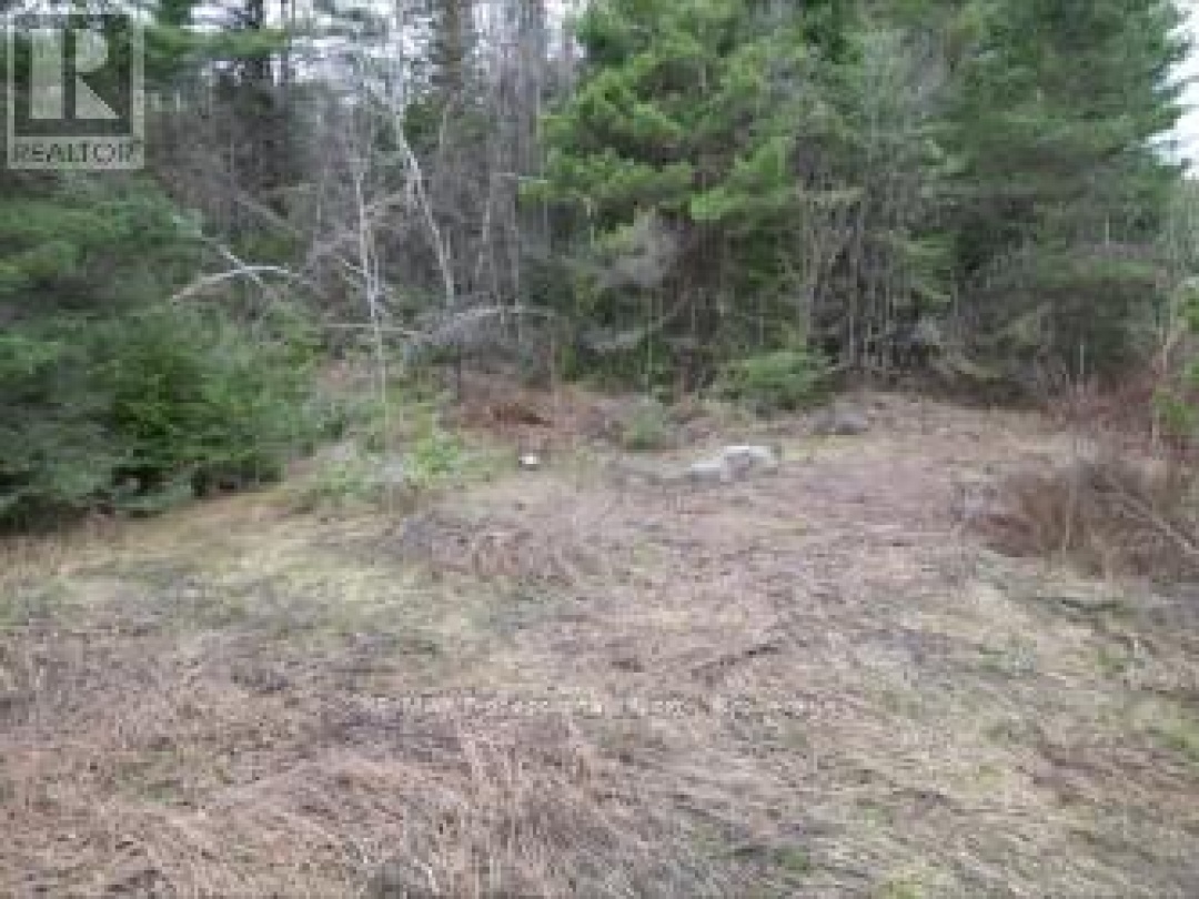 3025 GELERT ROAD, Minden Hills (Snowdon)