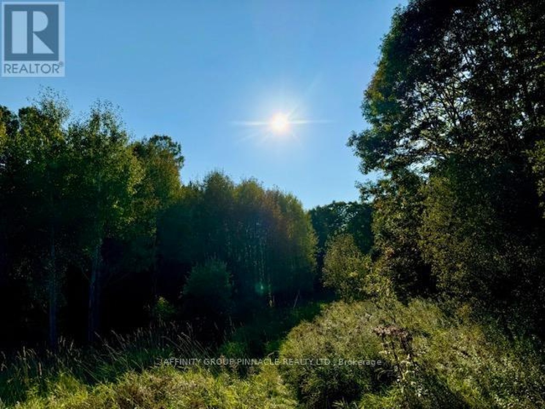 0 35 HIGHWAY, Kawartha Lakes (Laxton/Digby/Longford)