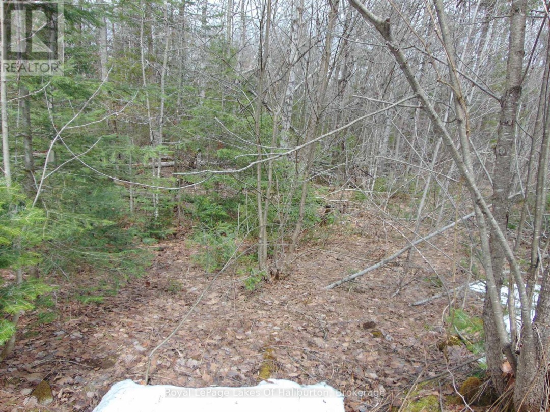 LOT 11 PLAN 580 NORTH DRIVE, Dysart et al (Guilford)
