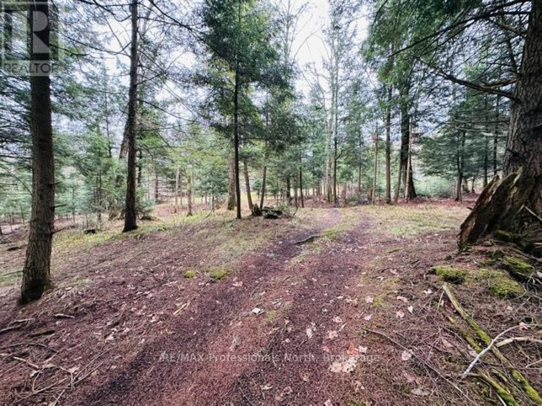 1297 HUNTER CREEK ROAD, Minden Hills (Lutterworth)