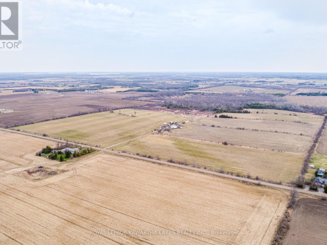 210 GRASSHILL ROAD, Kawartha Lakes (Woodville)