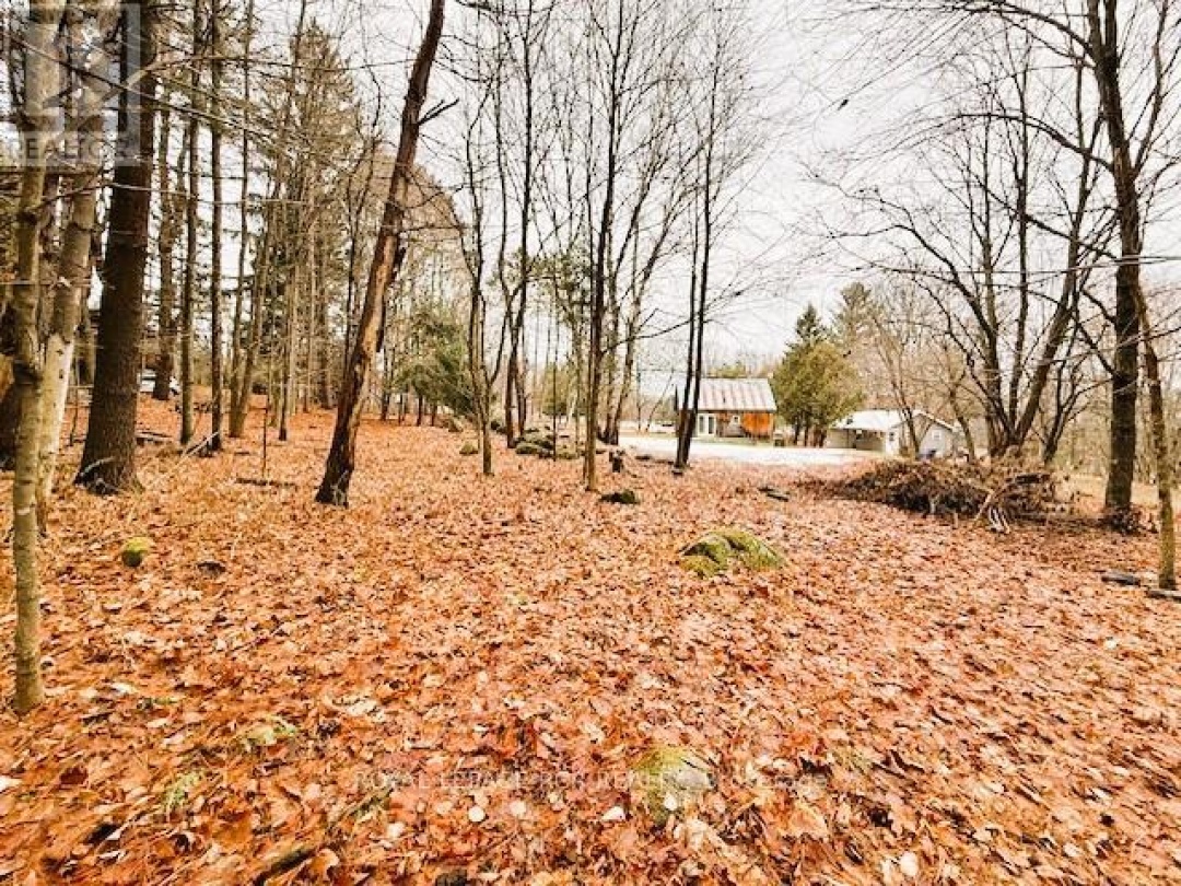 93 TOWN LINE ROAD W, Huntsville (Brunel)