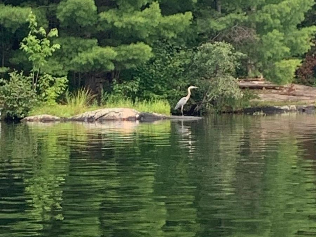24 SEVERN RIVER, Severn River
