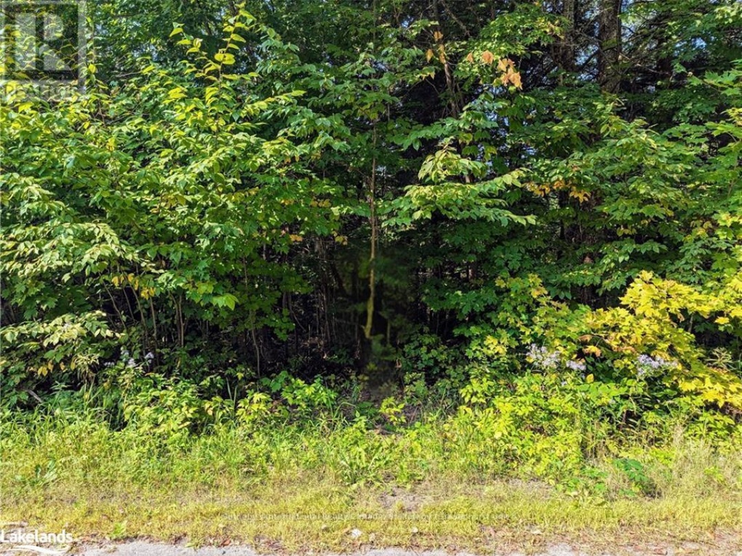 1031 HAVEN ROAD, Bracebridge (Draper)