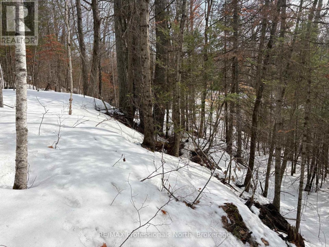 0 TRAPPER'S TRAIL ROAD, Dysart et al (Dudley)