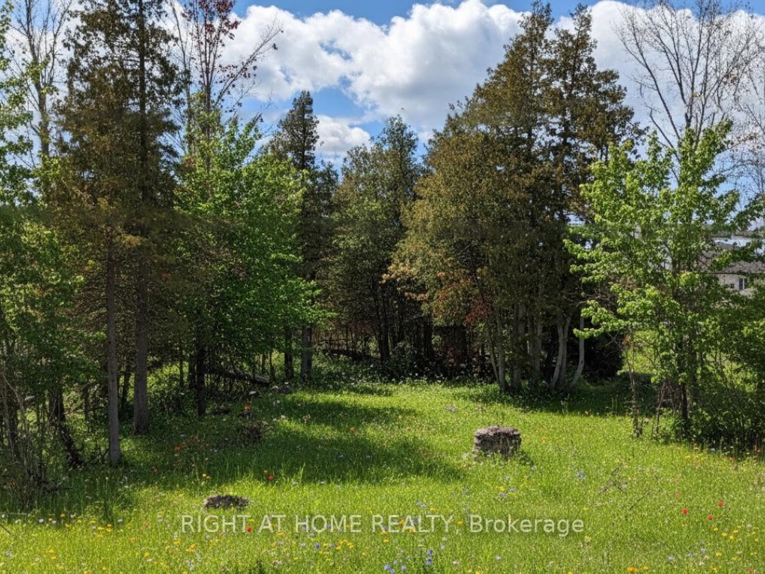 239 FRONT STREET W, Kawartha Lakes (Bobcaygeon)