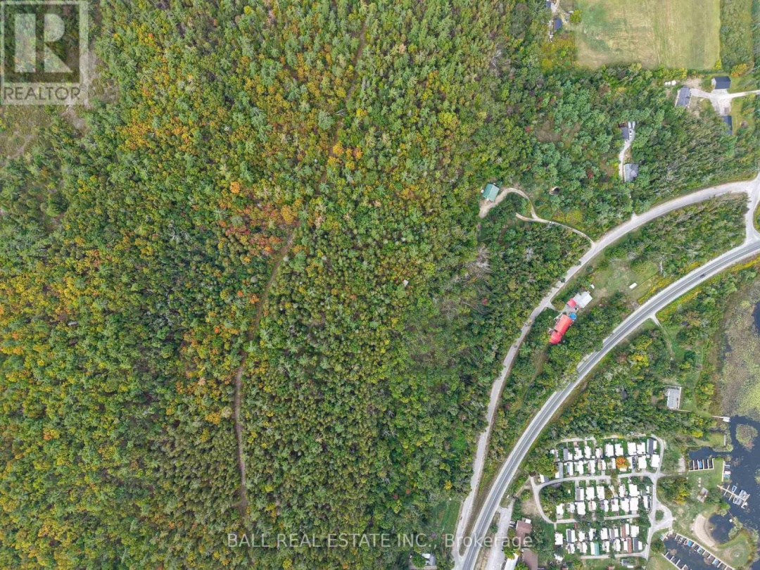 45 SPRING DRIVE, 