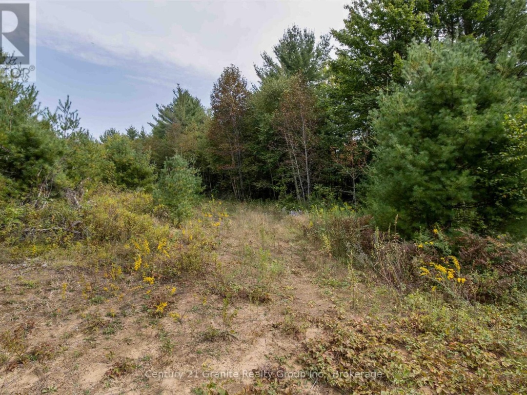 4729 COUNTY ROAD 121, Minden Hills (Lutterworth)