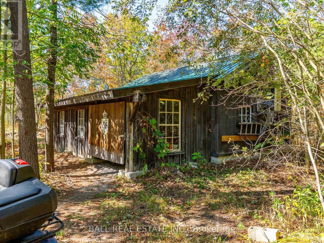 221 EDWINA DRIVE, Trent Lakes
