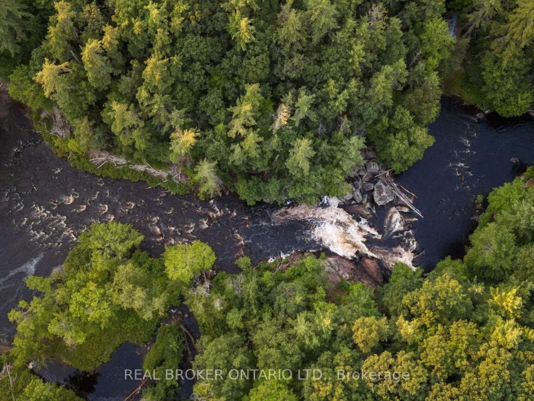 1401 COOPERS FALLS ROAD, Black River
