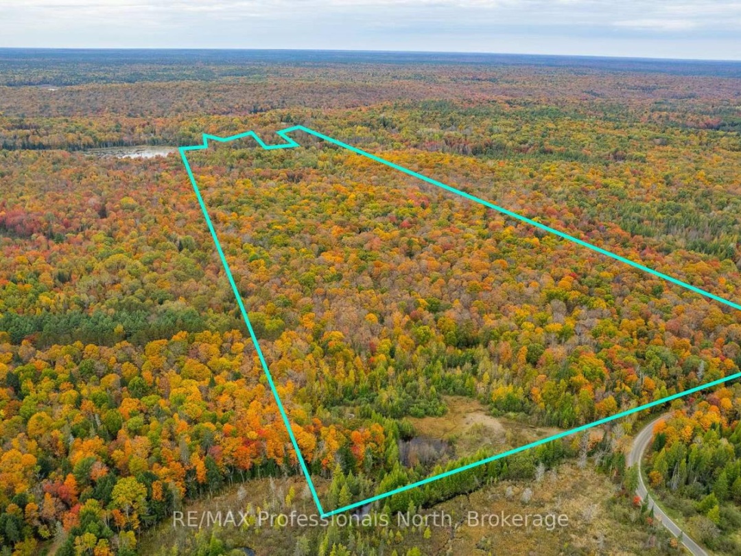 1600 BOBCAYGEON ROAD, Minden Hills (Minden)